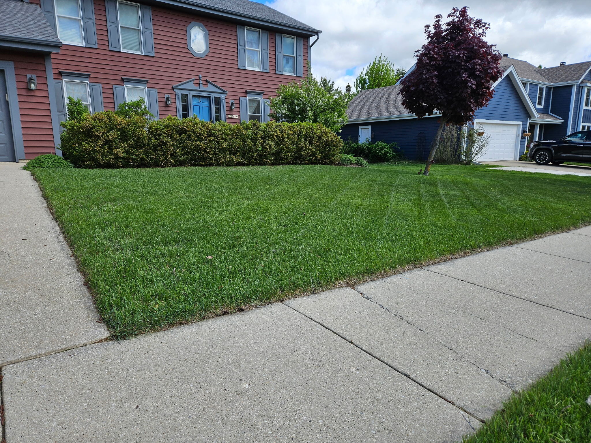 A freshly mowed lawn
