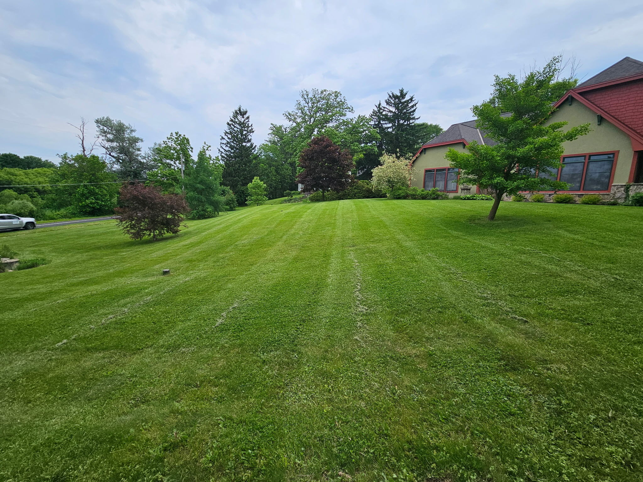 A freshly mowed lawn