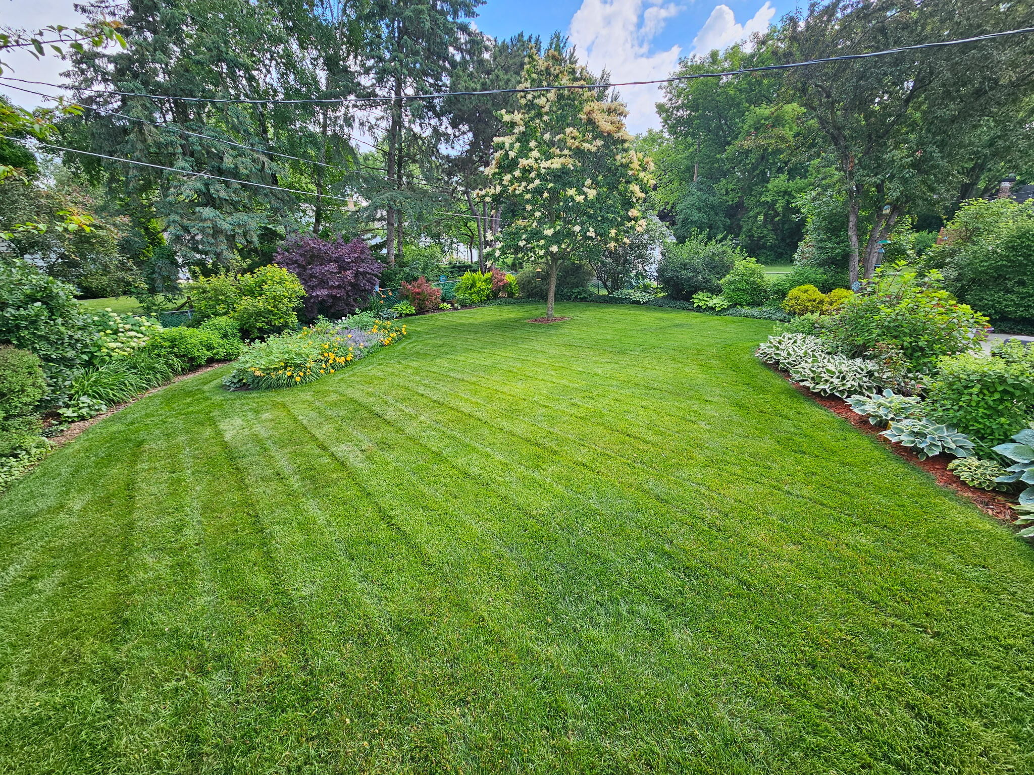 A freshly mowed lawn