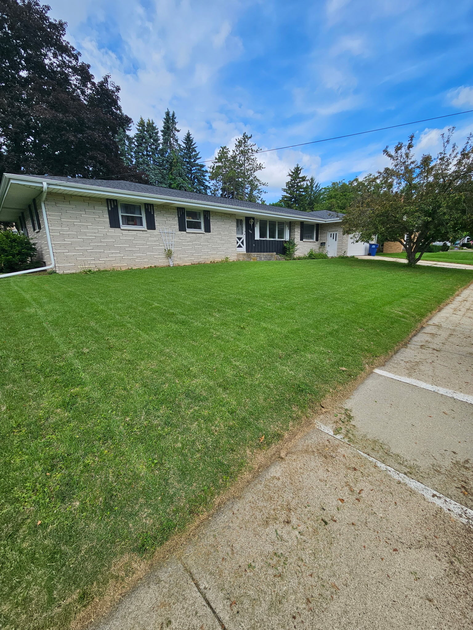 A freshly mowed lawn