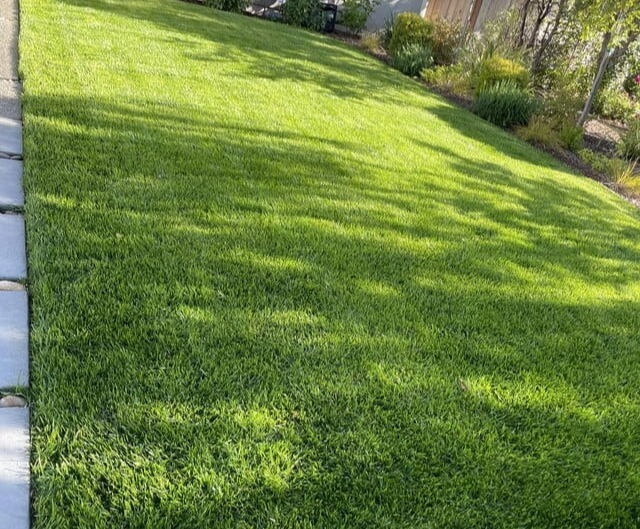 A freshly mowed lawn
